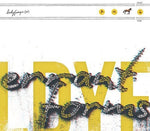 Ladyfinger (ne) - Errant Forms (Vinilo)