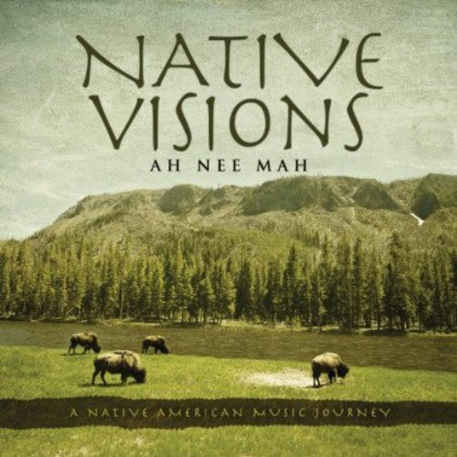 Ah*Nee*Mah - Native Visions: A Native American Music Journey (CD)