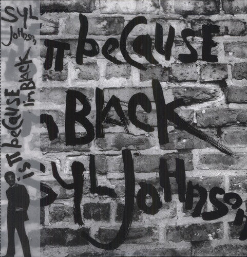 the album cover for Syl Johnson - Is It Because I'm Black