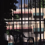 the album cover for Section 25 - Dark Light