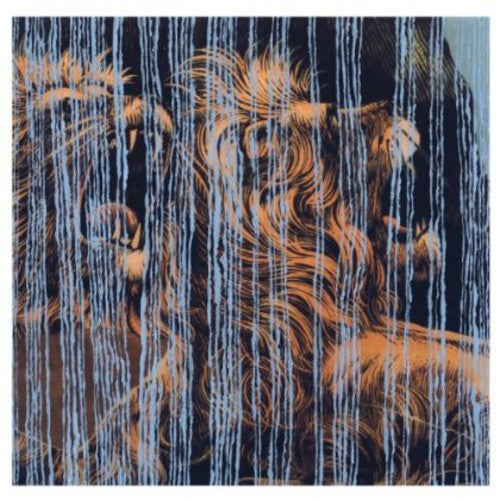 Julian Lynch - Líneas (Vinilo)