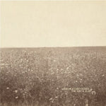 The Milk Carton Kids - Ash & Clay (Vinyl)