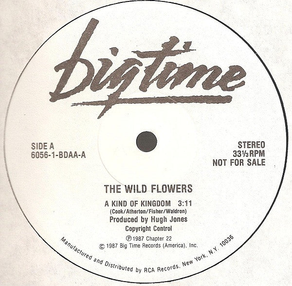 The Wild Flowers : A Kind Of Kingdom (12", Single, Promo)