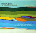 the album cover for Chris Amemiya - In the Rain Shadow