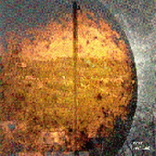 the album cover for Pelt - Techeod