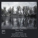 the album cover for Arenski / Trio Cracovia - Piano Trios