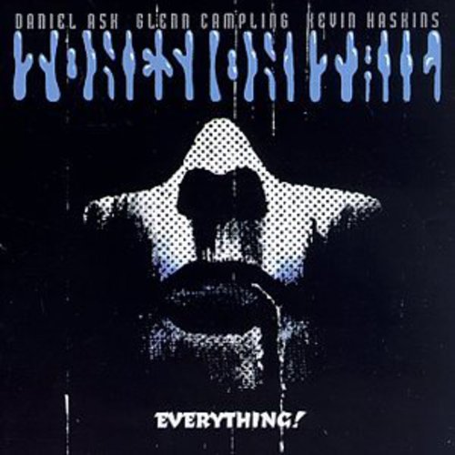 the album cover for Tones On Tail - Everything