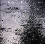 the album cover for Voices - From The Human Forest Create A Fugue Of Imaginary Rain