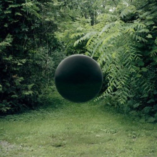 Trenzas - En especie / Enmiendas (Vinilo)
