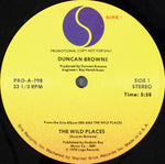 Duncan Browne : The Wild Places (12", Promo)