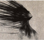 the album cover for Erlen Meyer - Erlyn Meyer [Import]