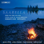 the album cover for Seppo Murto - Fire on the Island