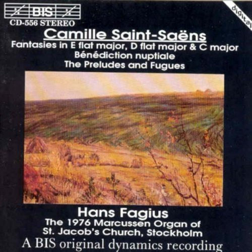 the album cover for HANS FAGIUS - Organ Works