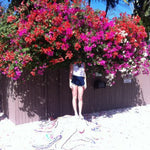 the album cover for Elf Power - Sunlight on the Moon