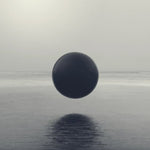 the album cover for Braids - Flourish / Perish