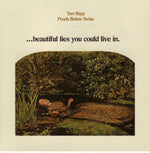 トム・ラップ - Beautiful Lies Youn Could Live in (レコード)