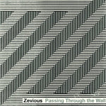 the album cover for Zevious - Passing Through the Wall