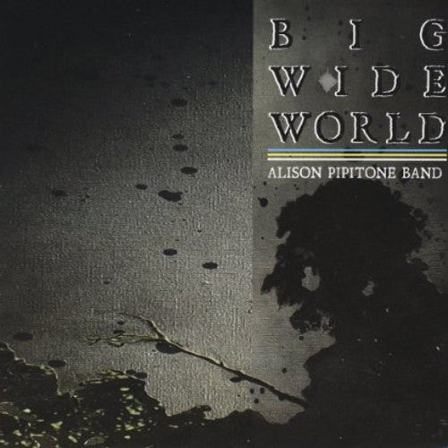 the album cover for Alison Pipitone - Big Wide World