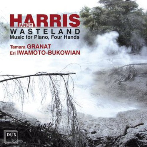 the album cover for Tamara Granat - Wasteland: Music for Piano Four Hands