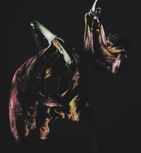 the album cover for TRAAMS - Grin