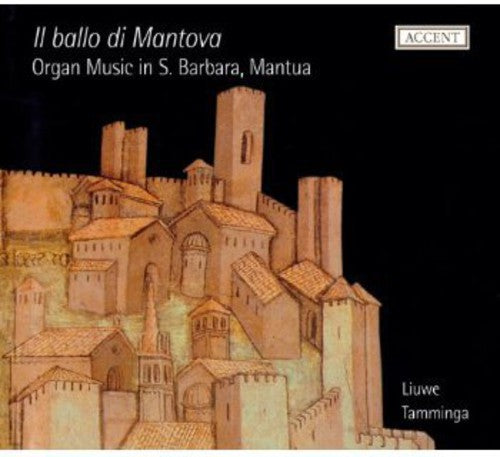 the album cover for Tamminga - Organ Music S. Barbara Mantua