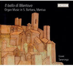 the album cover for Tamminga - Organ Music S. Barbara Mantua