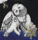 Canciones: Ohia - Magnolia Electric Company Co (Vinilo)