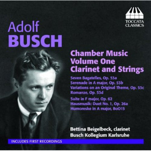 the album cover for Bettina Beigelbeck - Chamber Music 1: Clarinet & Strings