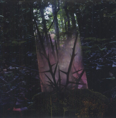 Jensen Sportag - Stealth of Days (Vinyl)