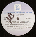 Mary Jane Girls : In My House (12", Promo)