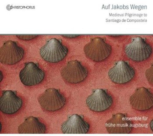 the album cover for Rainer Herpichbohm - In the Steps of Saint James: Medieval Pilgrim's
