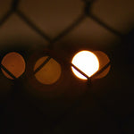 the album cover for Fluxion - Vibrant Forms