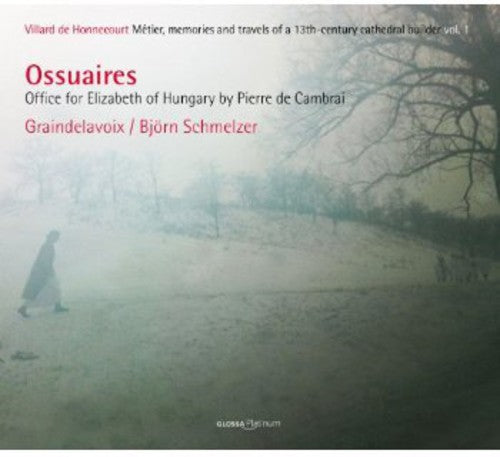 the album cover for Bjorn Schmelzer - Ossuaires