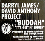 Darryl James / David Anthony Project* : Buddah / It's Gettin' Bigger (12")