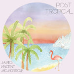 the album cover for James Vincent McMorrow - Post Tropical [Vinyl]