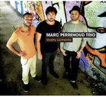 the album cover for Marc Perrenoud Trio - Vestry Lamento