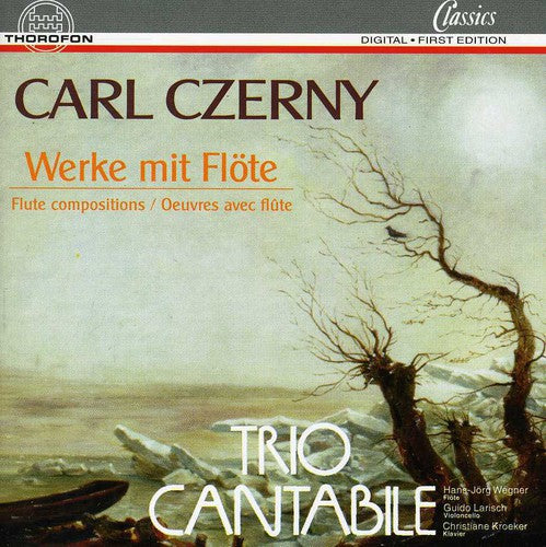 the album cover for Cantabile - Fantasia / Concertante Opus 256