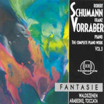 the album cover for Franz Vorraber - Complete Piano Works 3