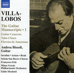 the album cover for Andrea Bissoli - Works for Guitar 1