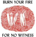 Angel Olsen - Burn Your Fire for No Witness (CD)