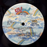 Skyy : Bad Boy (12", Single)