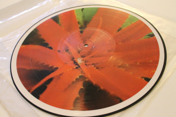 Jejune : This Afternoons Malady (LP, Album, Pic)