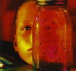 the album cover for Alice In Chains - Jar of Flies