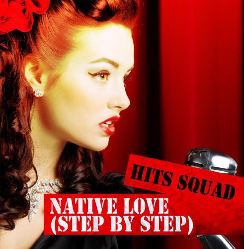 the album cover for Hits Squad - Native Love (Step By Step)