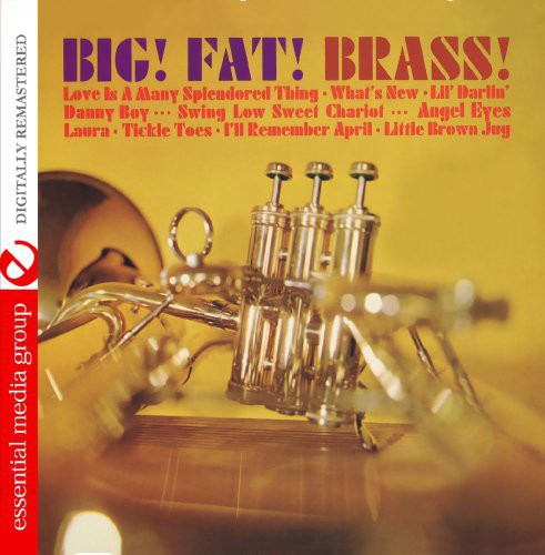 the album cover for Surrey Brass - Big Fat Brass