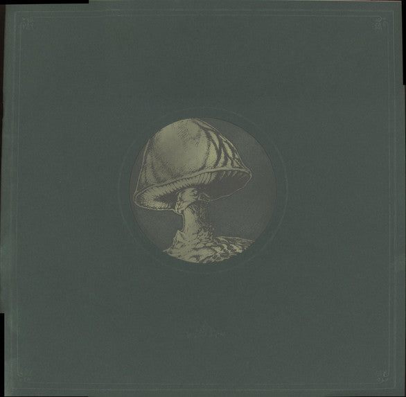 The Allman Brothers Band : Dreams (6xLP + Box, Comp)