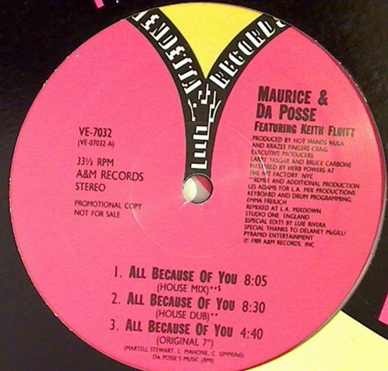 Maurice* & Da Posse : All Because Of You (12", Promo)