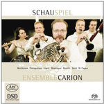 the album cover for Carion - Schauspiel