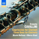the album cover for Nicola Bulfone - Capriccios for Clarinet & Three Duos for Clarinets