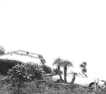 the album cover for Timber Timbre - Hot Dreams